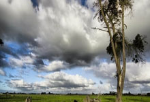 各显神通，球队战术意识老练取胜积极态度