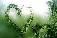 爱尔兰挑战保加利亚，西班牙等你来支持