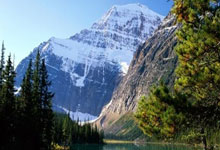 斯托克城主场失利阿森纳，遭遇困境